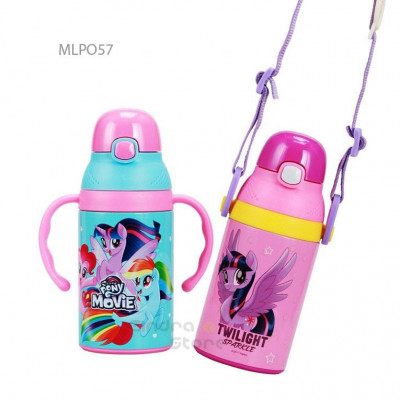 Insulated Water Bottle : MLP057