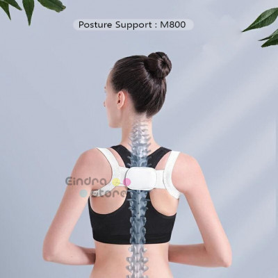 Posture Support : M800